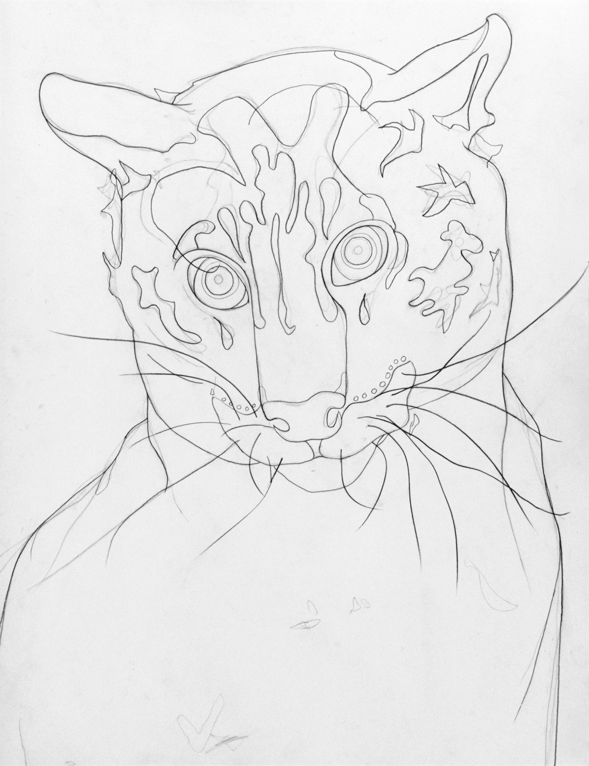 Wild Cat, drawing by Wouter van Riessen